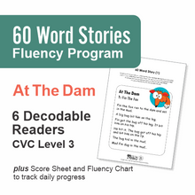Load image into Gallery viewer, 60 Word Stories | 1.3 | CVC | At The Dam
