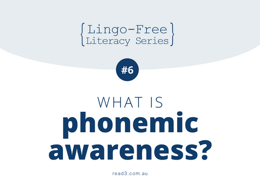 What is Phonemic Awareness?